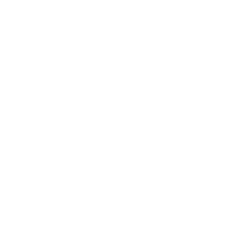 Logo Vulcain Vision